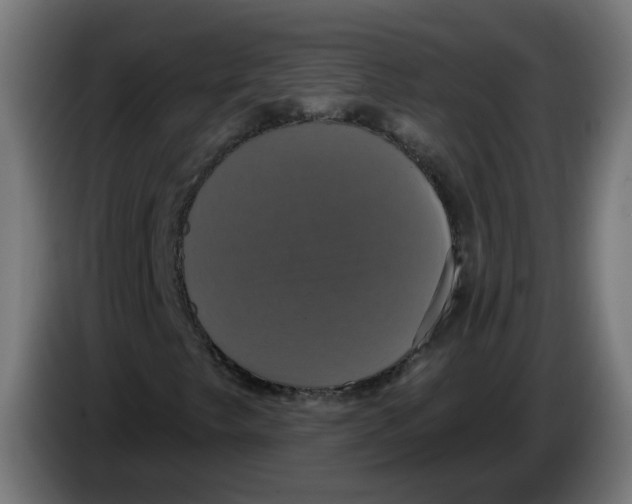 X0000086221249200704191731