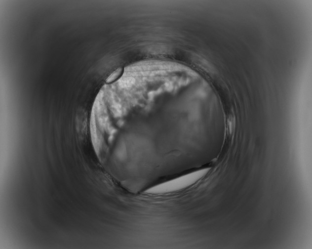 X0000086221251200704191731