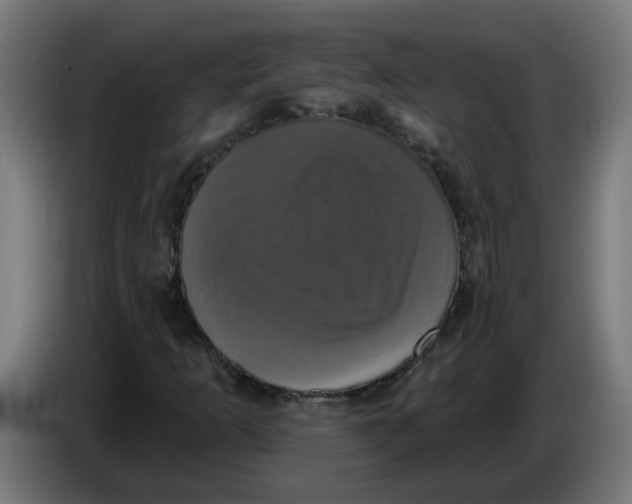 X0000086221253200704191731