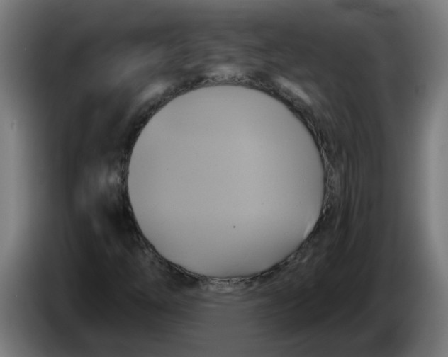 X0000086221254200704191731