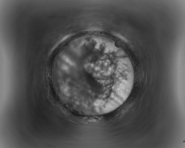 X0000086221255200704191731