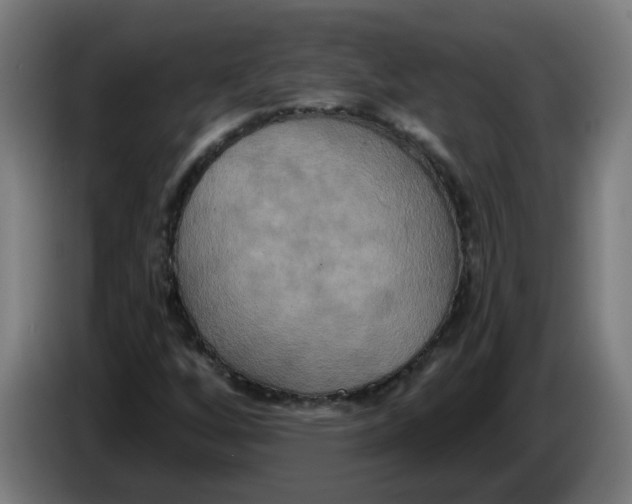 X0000086221256200704191731