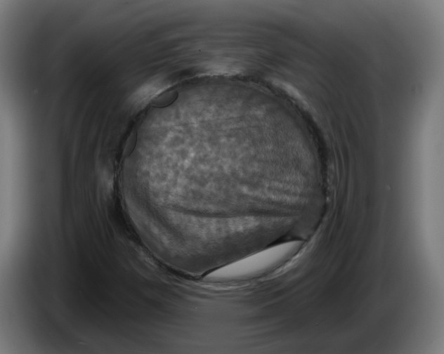 X0000086221257200704191731