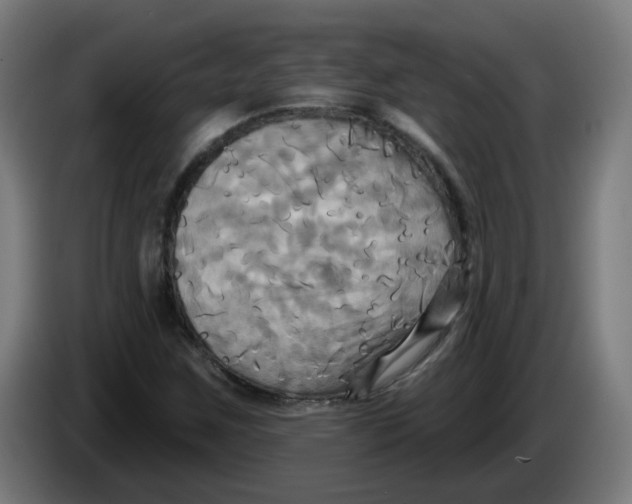 X0000086221259200704191731