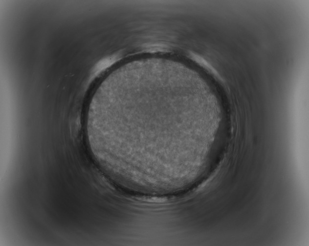 X0000086221261200704191731