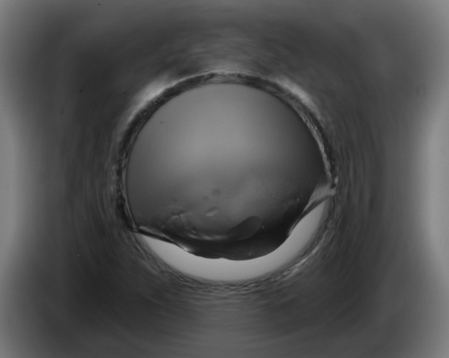 X0000086221263200704191731