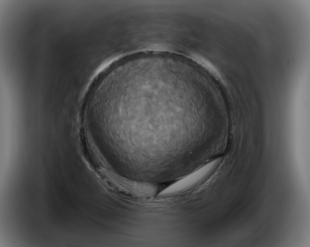 X0000086221264200704191731