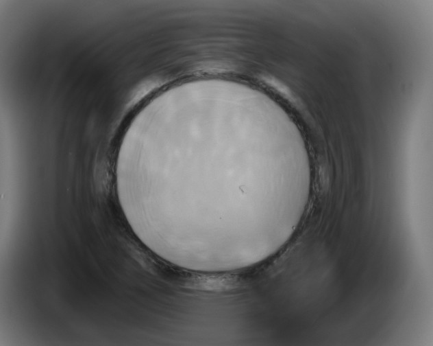 X0000086221266200704191731