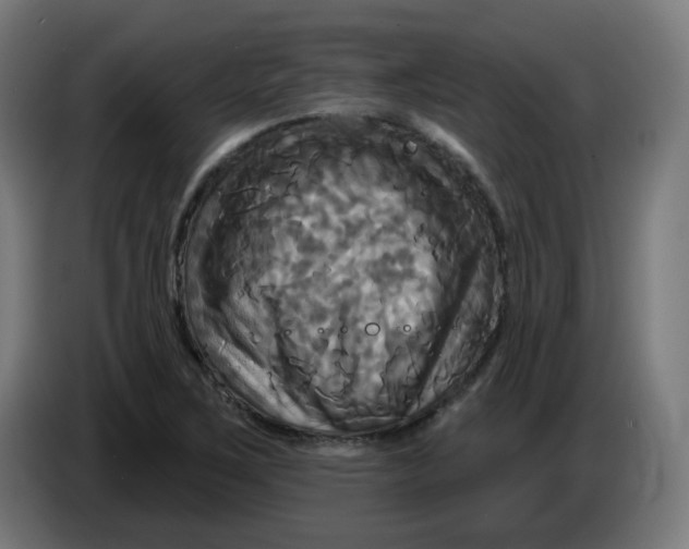 X0000086221267200704191731