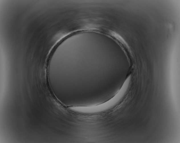 X0000086221268200704191731