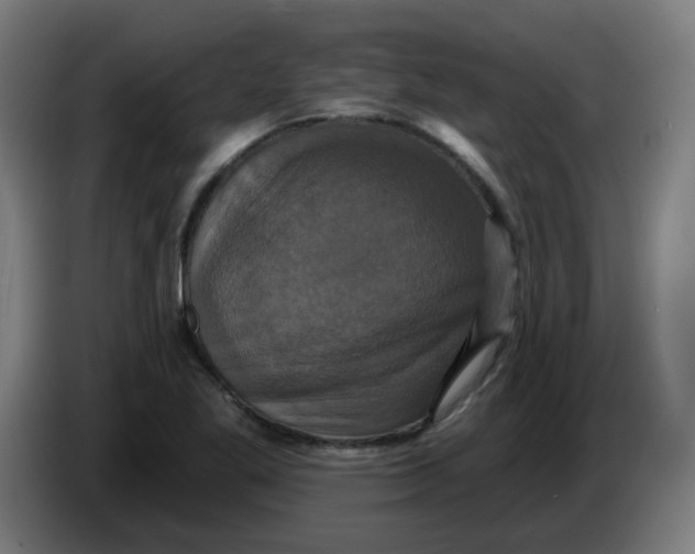 X0000086221269200704191731