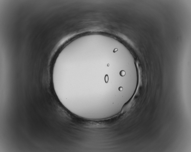 X0000086221270200704191731