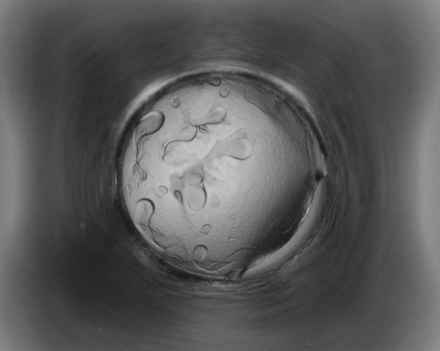 X0000086221271200704191731