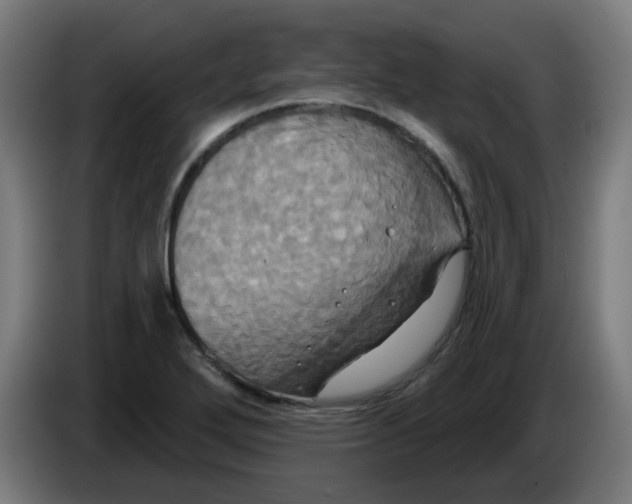 X0000086221272200704191731