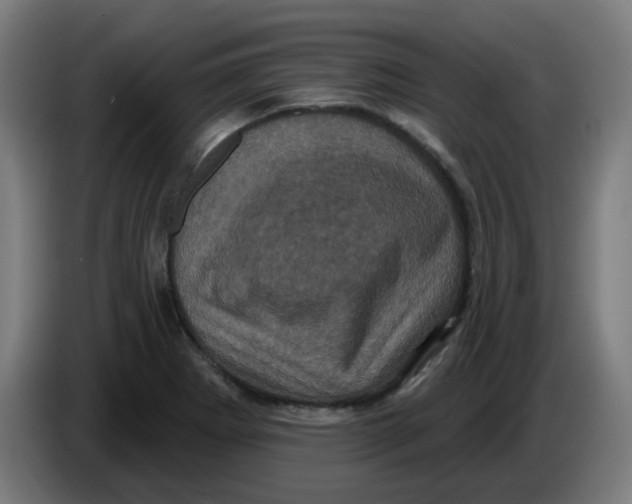 X0000086221273200704191731