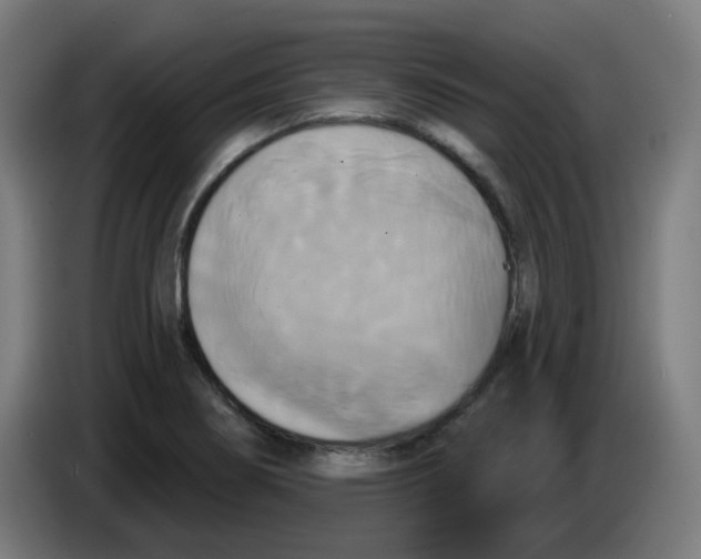 X0000086221274200704191731