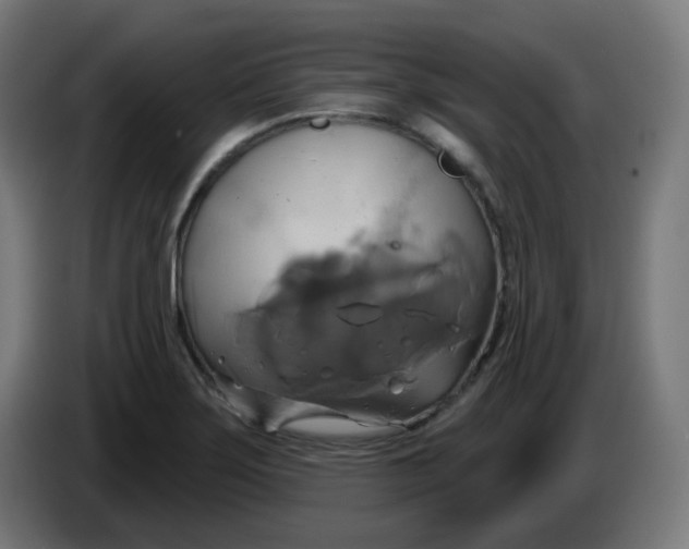 X0000086221275200704191731