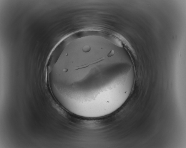 X0000086221276200704191731