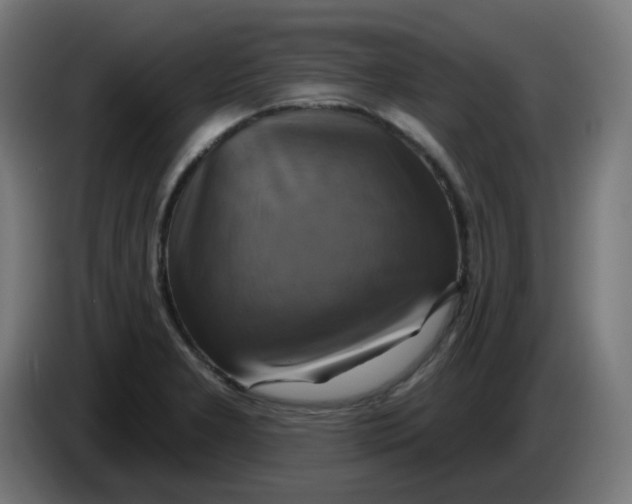 X0000086221277200704191731