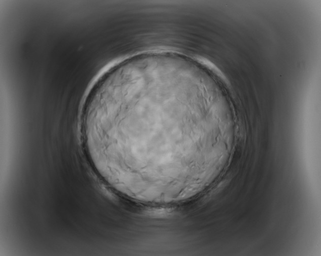 X0000086221278200704191731