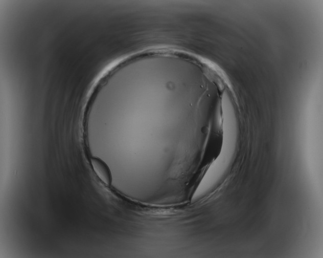 X0000086221279200704191731