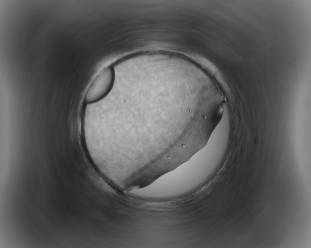 X0000086221280200704191731