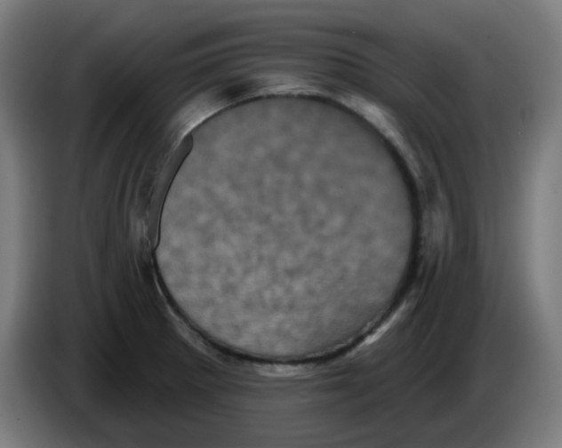 X0000086221281200704191731