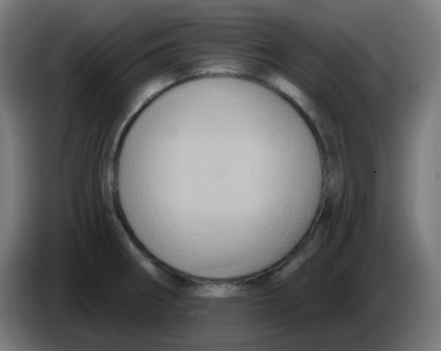 X0000086221282200704191731