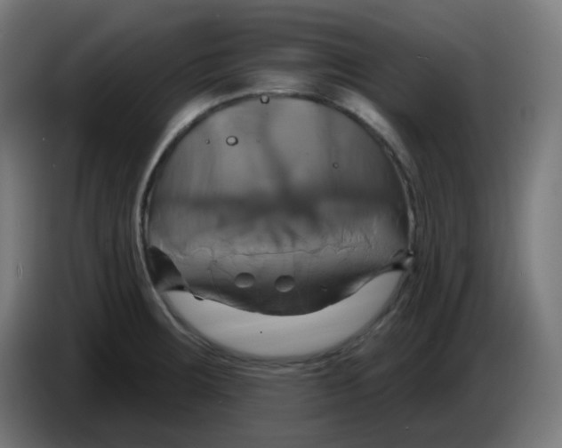 X0000086221283200704191730