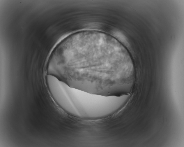 X0000086221284200704191730