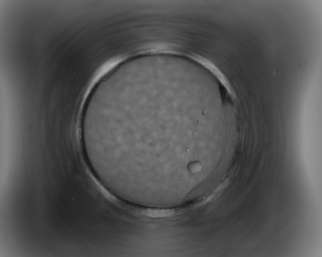 X0000086221285200704191730