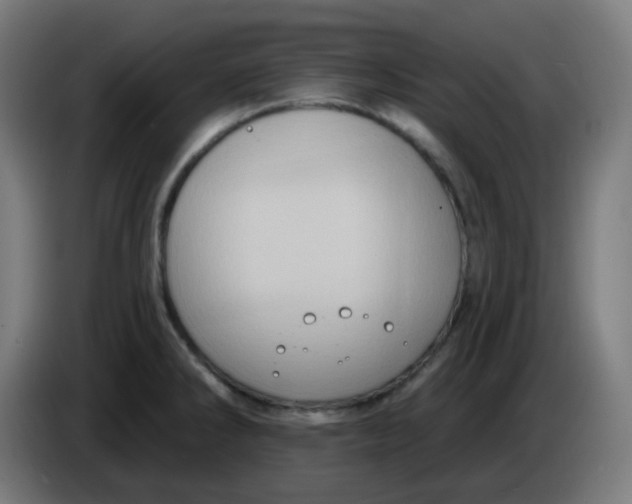 X0000086221286200704191730