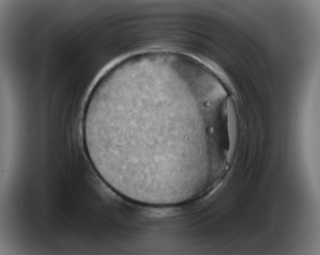 X0000086221288200704191730