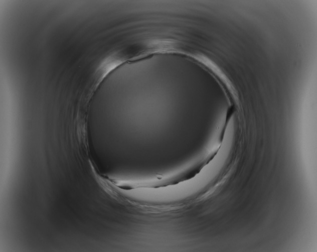 X0000086221289200704191730