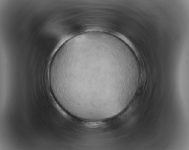 X0000086221290200704191730