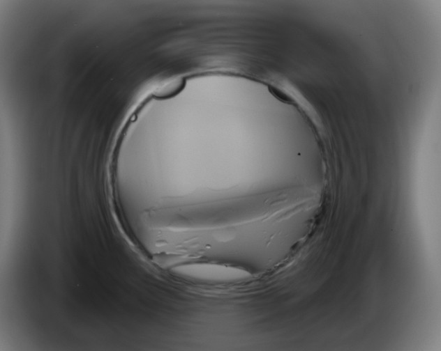 X0000086221291200704191730