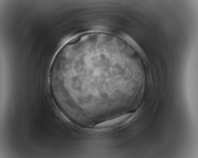 X0000086221292200704191730