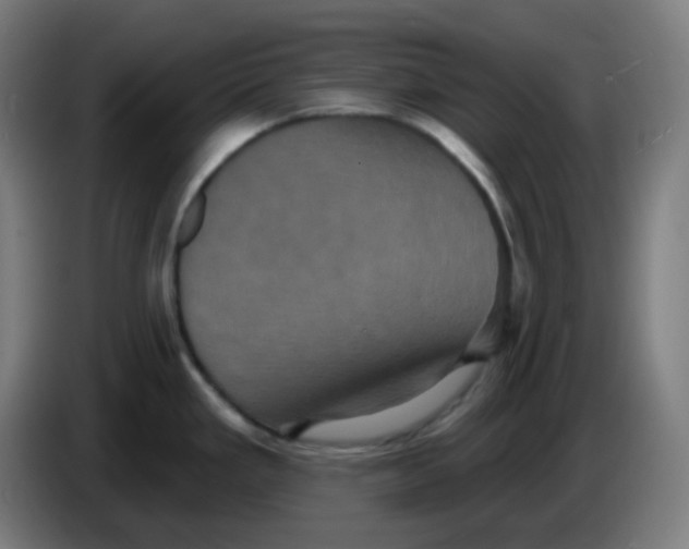 X0000086221293200704191730