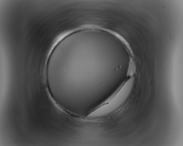 X0000086221295200704191730