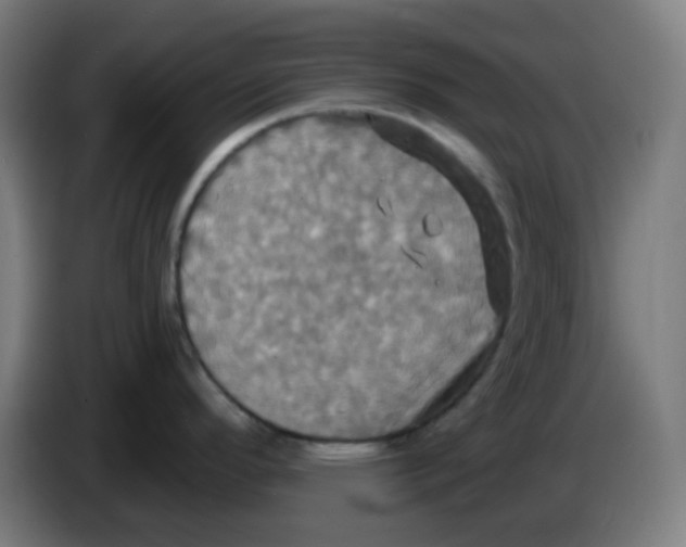 X0000086221296200704191730