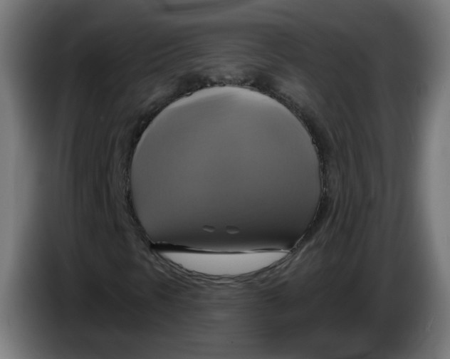 X0000086221297200704191730