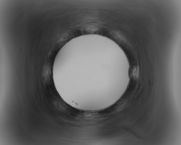 X0000086221299200704191730