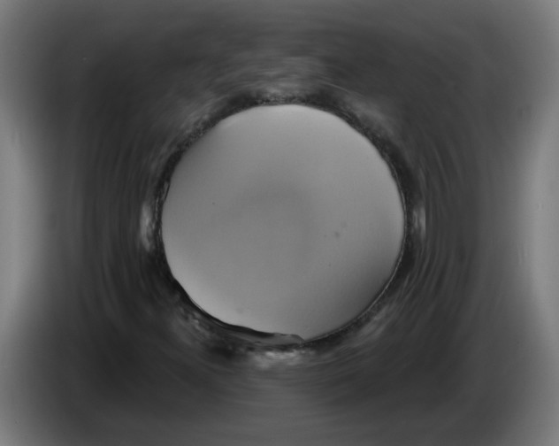 X0000086221300200704191730