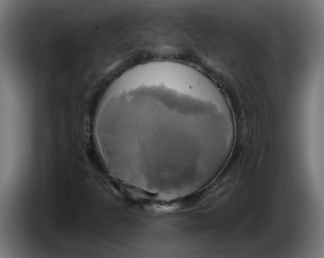 X0000086221301200704191730