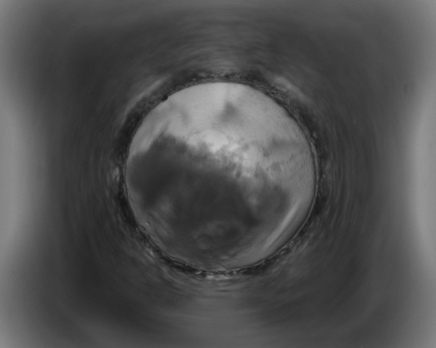 X0000086221302200704191730