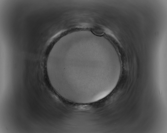 X0000086221304200704191730