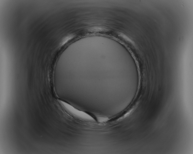 X0000086221305200704191730