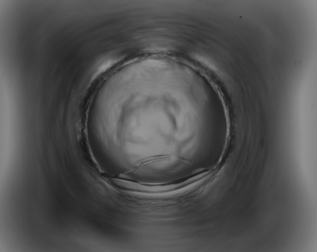 X0000086221306200704191730