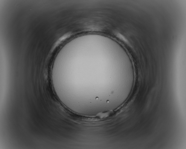 X0000086221307200704191730