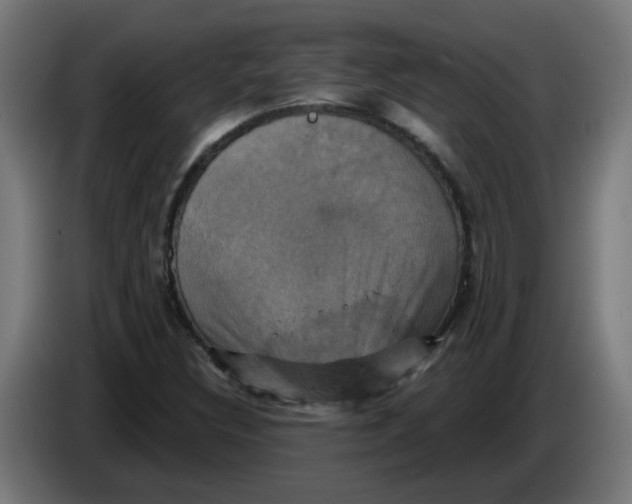 X0000086221308200704191730